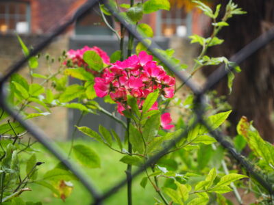 Gang an die Themse (London-Eastend)